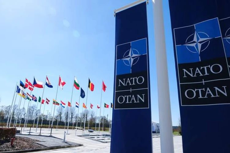 Хто і як прокоментував слова Залужного про НАТО: ролі МЗС та посла